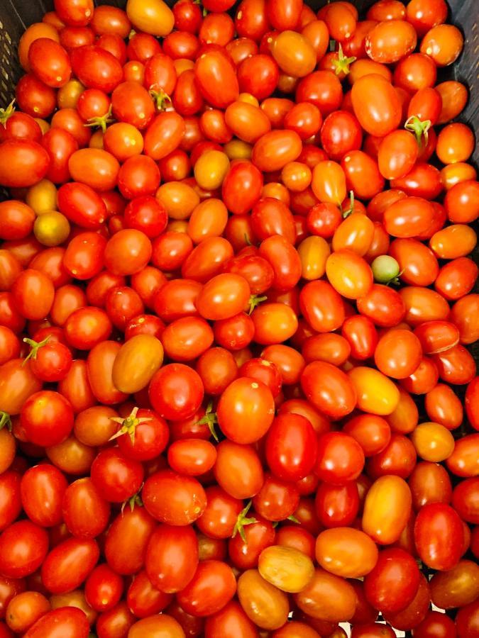 Appartamento Il Pomodoro San Vito Lo Capo Exterior foto